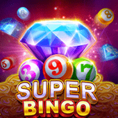 Super Bingo Slot Game